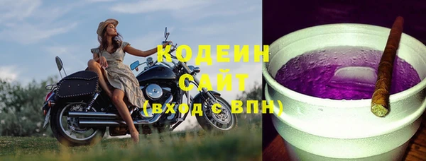 таблы Гусев