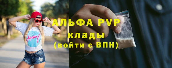ПСИЛОЦИБИНОВЫЕ ГРИБЫ Горно-Алтайск