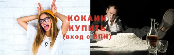 таблы Гусев