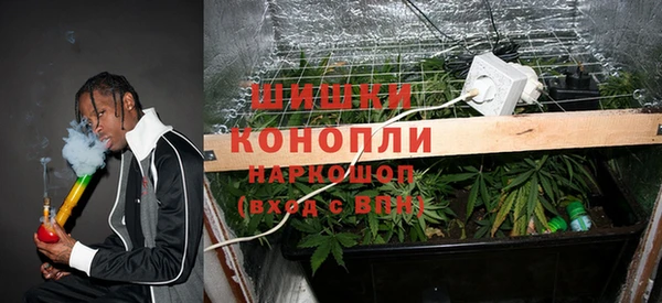 гидропоника Горнозаводск