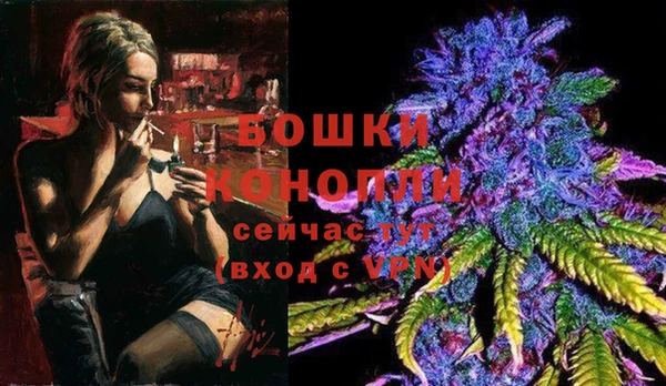 гидропоника Горнозаводск