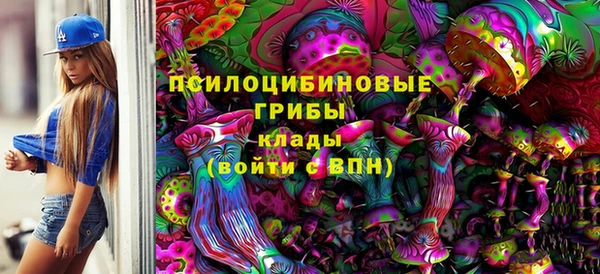 ПСИЛОЦИБИНОВЫЕ ГРИБЫ Горно-Алтайск