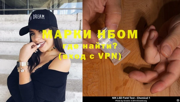 ПСИЛОЦИБИНОВЫЕ ГРИБЫ Горно-Алтайск
